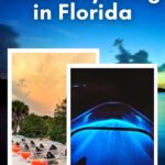 Bioluminescent Clear Kayaking in near Orlando and Daytona Beach