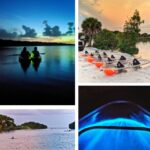 Bioluminescent Clear Kayaking in Florida Collage