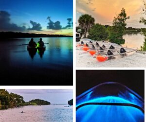 Bioluminescent Clear Kayaking in Florida Collage