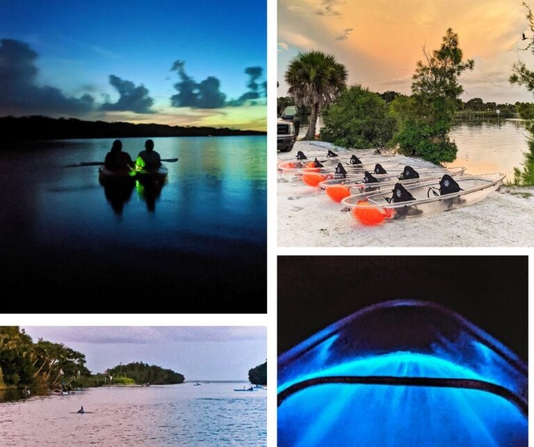 Bioluminescent Clear Kayaking in near Orlando and Daytona Beach