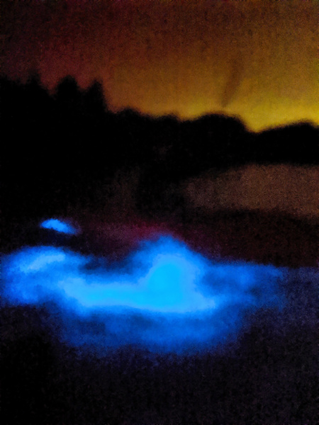 Bioluminescent Kayaking on Mosquito Lagoon at Merritt Island NWR Titusville Florida 2020 8