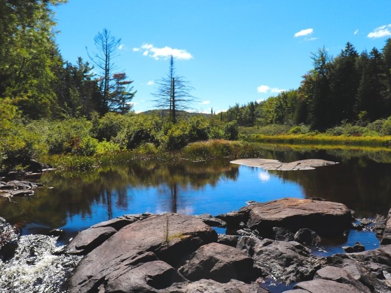 Bog River at Tupper Lake Kayaking in the Adirondacks