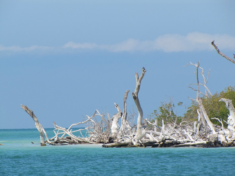 Cayo Costa State Park Kayaking Gulf Coast Florida 1