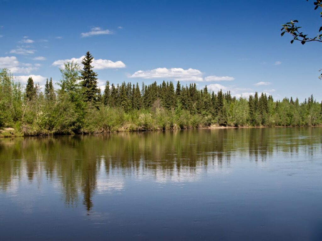 Chena River in Fairbanks Alaska