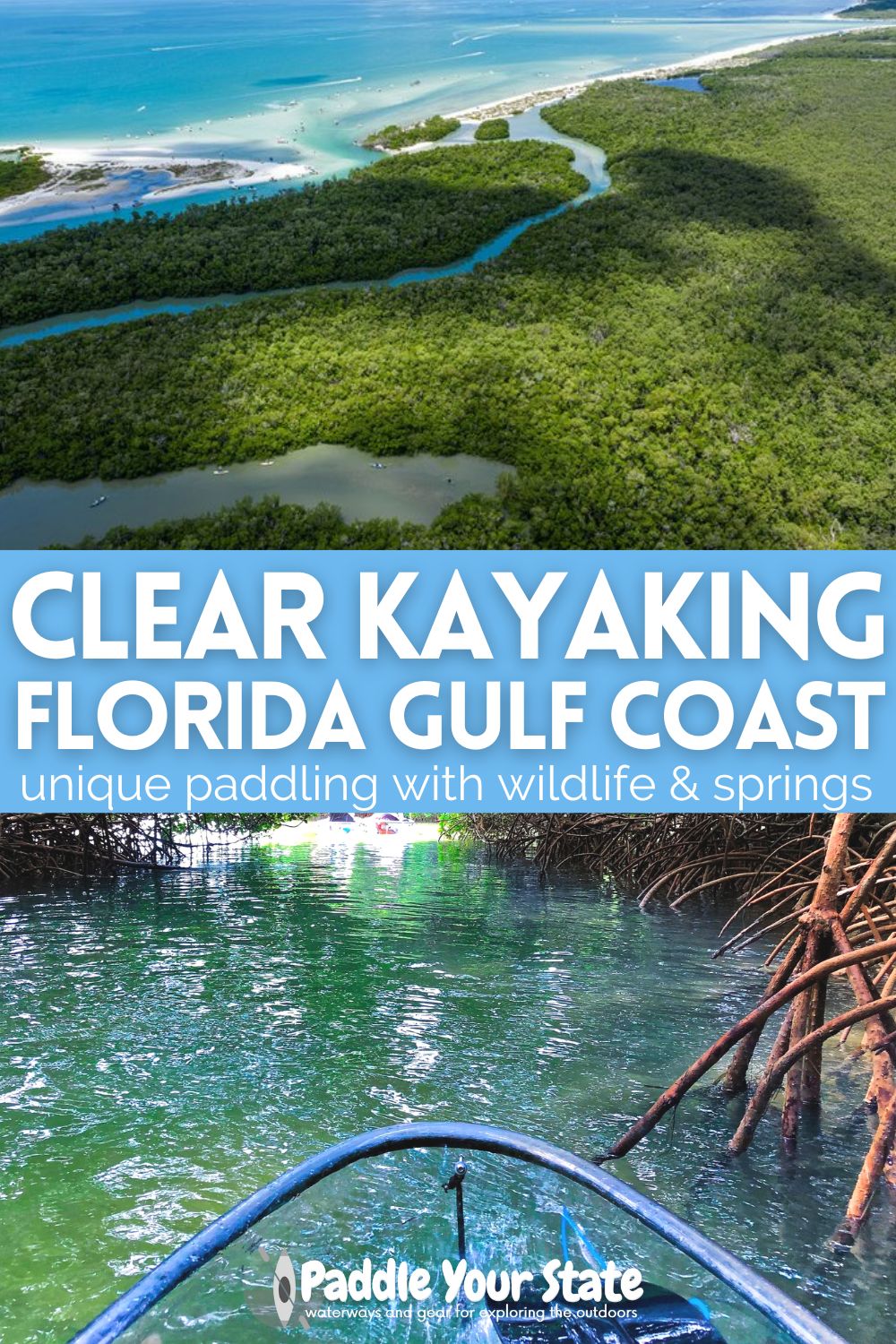 Clear Kayaking on the Florida Gulf Coast is one of the most unique experiences to plan. Paddling with manatees and through mangrove tunnels are just some of the options. Visit Florida springs and more for clear kayaking.