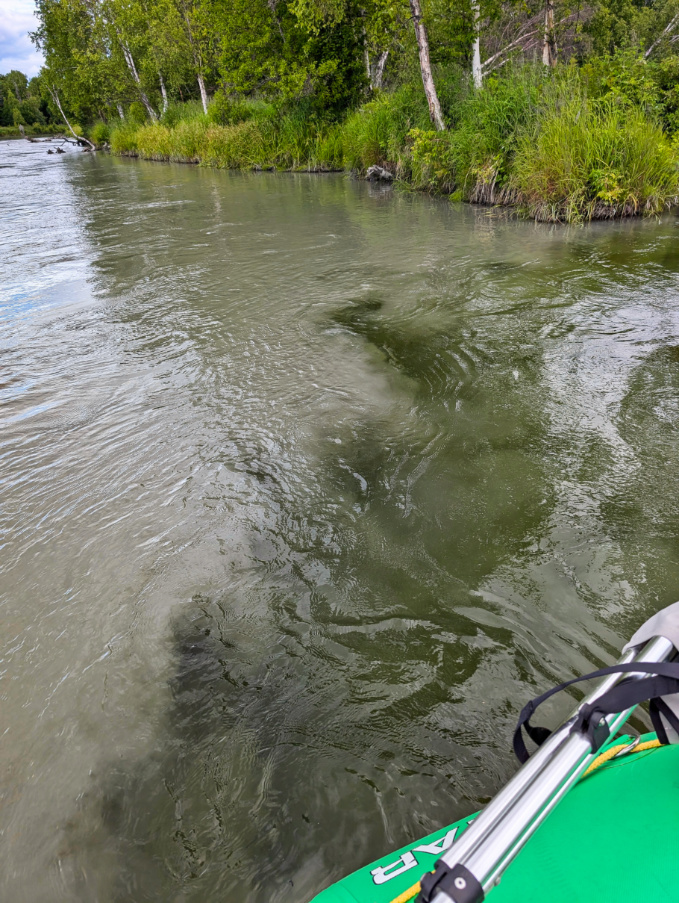 Confluence of Willow Creek and Susitna River in Willow Alaska 1