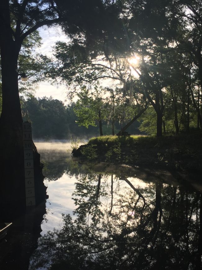 Cove off the Satilla River in Hortense Georgia