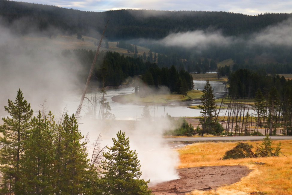 Early Morning steam at Mud Volcanos Yellowstone National Park Wyoming 4