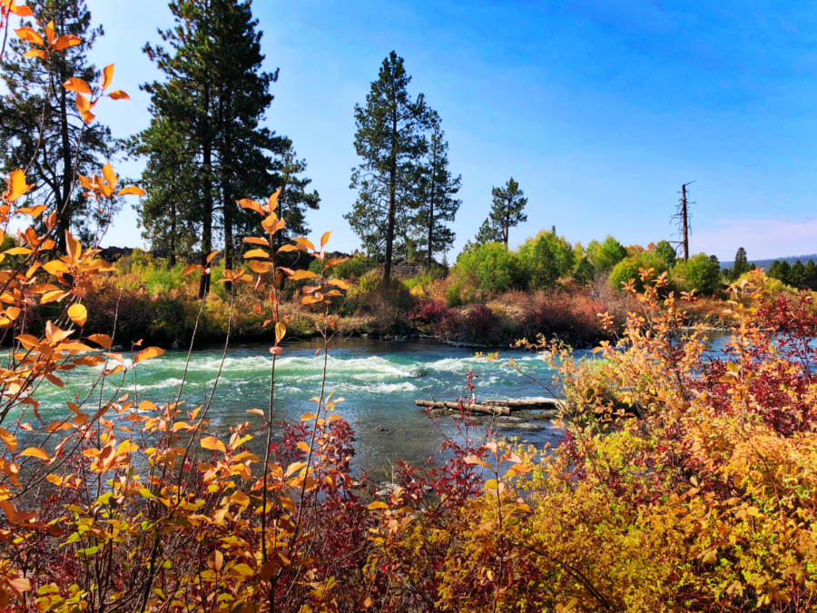 Fall Colors on Deschutes River at Dillon Falls Deschutes National Forest Bend Oregon 2