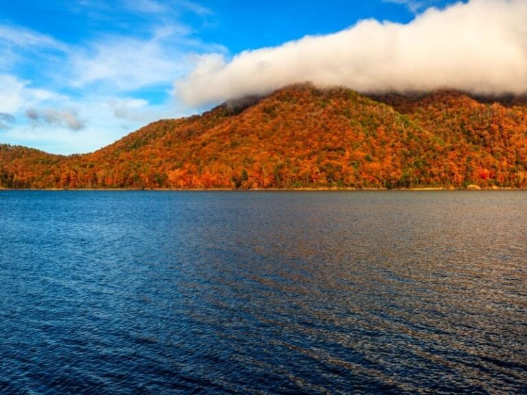 Fall Colors when Kayaking on Watauga Lake NE Tennessee