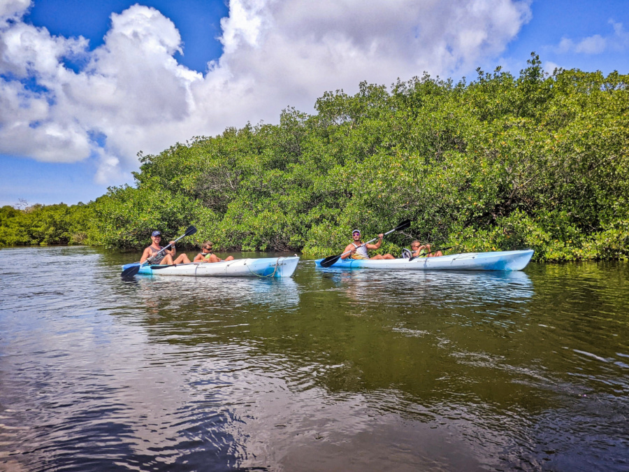 Full Taylor Family Kayaking with Tarpon Bay Explorers Ding Darling Wildlife Refuge Sanibel Island Fort Myers Florida 3
