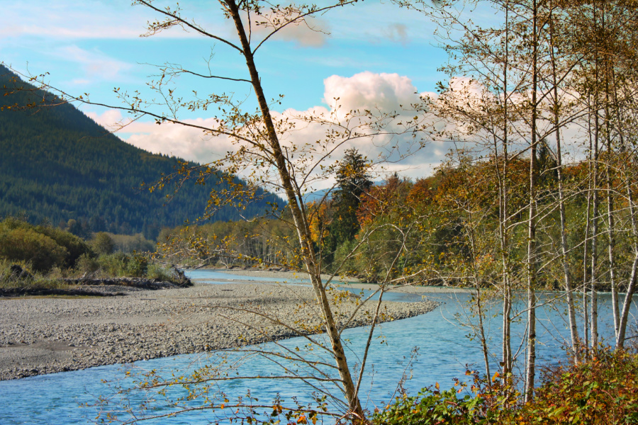 Hoh River with Fall Colors Olympic National Park 1