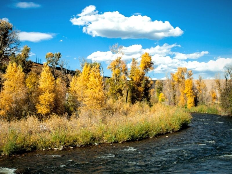 Kayaking Class I on the Provo River Utah