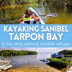 Kayaking Tarpon Bay and the Ding Darling National Wildlife Refuge on Sanibel Island is a must-do on the Florida Gulf Coast. Different than the Everglades, see what you'll find kayaking on the Gulf Coast.