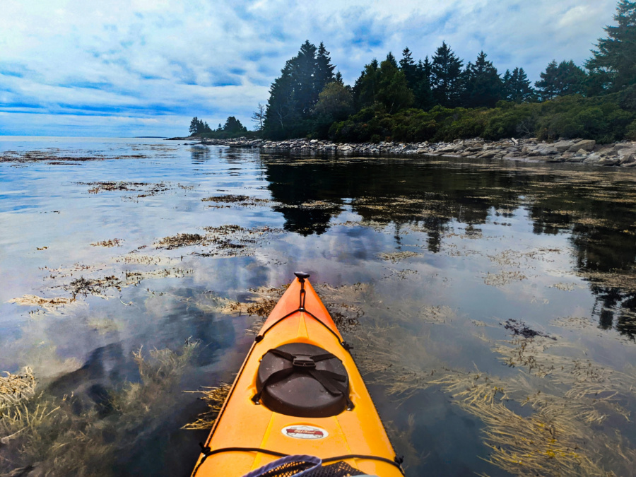 Kayaking at Spruce Head Maine 1