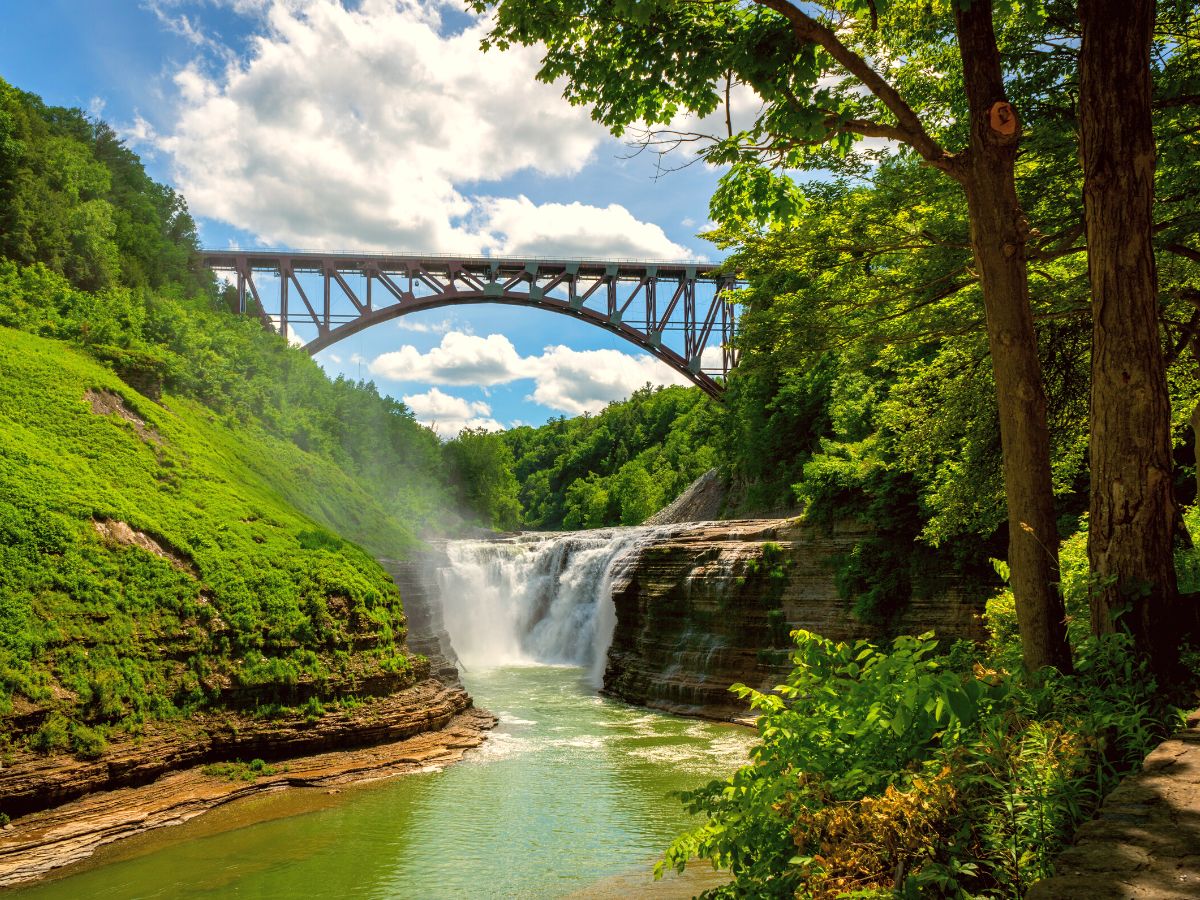 Springtime in upstate New York - Forests & Nature Background