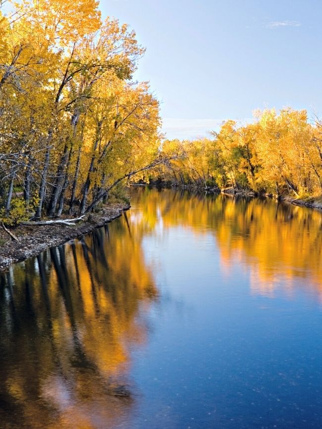 Kayaking on the Boise River with Fall Colors