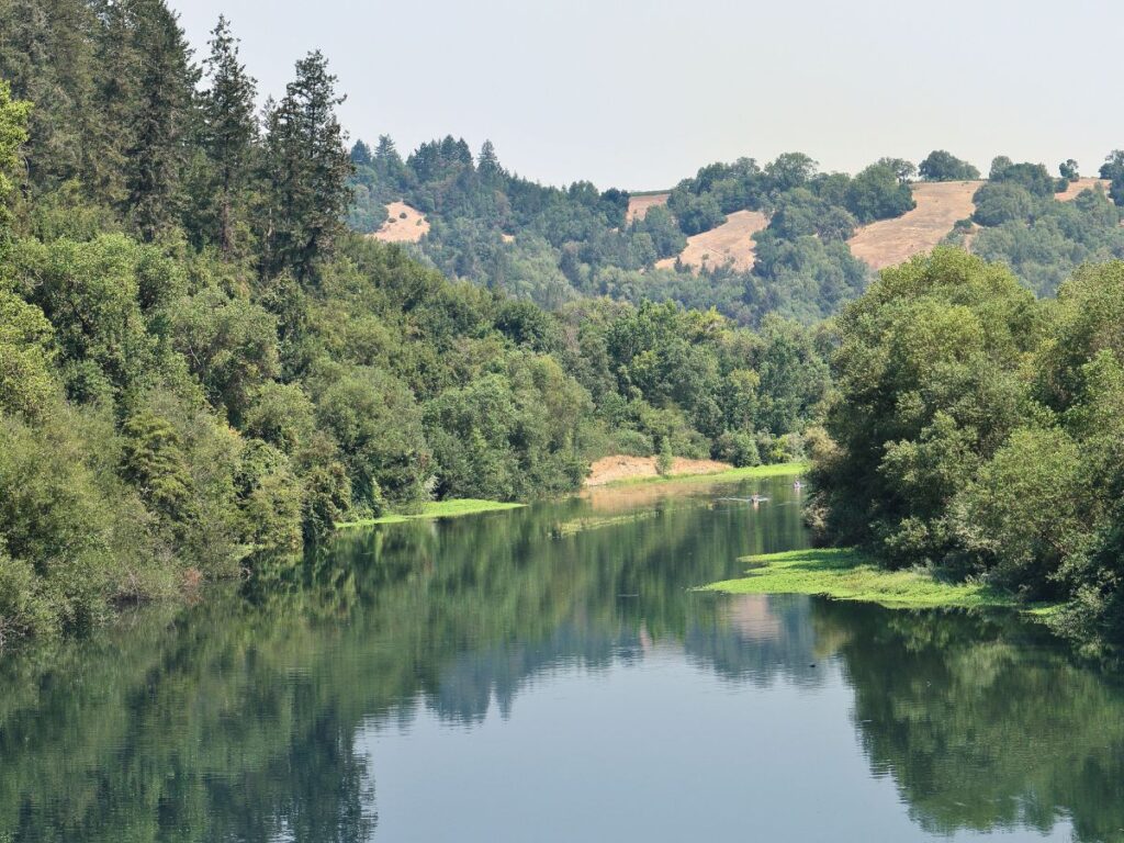 Kayaking on the Russian River Sonoma County Northern California 1