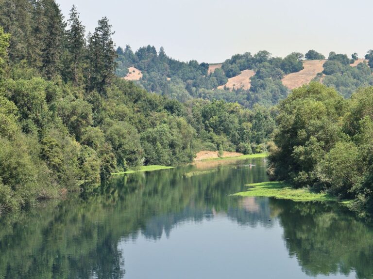 Kayaking on the Russian River Sonoma County Northern California 1