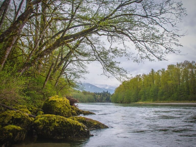 Kayaking on the Skagit River