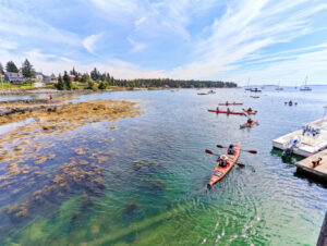 Kayaking out of Port Clyde Maine 1