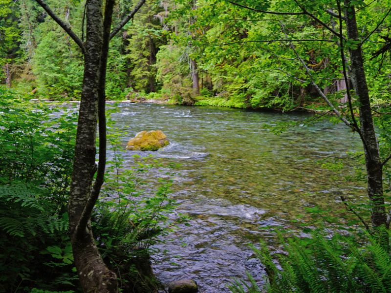 Kayaking the McKenzie River Southeast of Portland Oregon