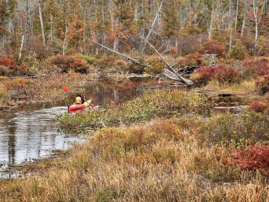 Kayaking with Fall Colors in the Green Mountains Vermont