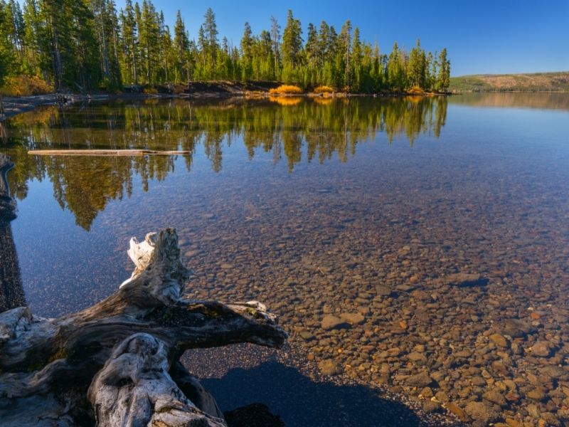 Lewis Lake Kayaking in Yellowstone National Park (1)