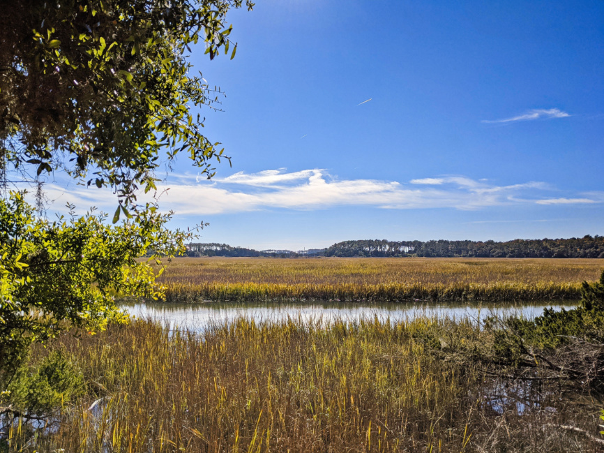 Marsh at Wormsloe Historic Site Coastal Georgia Savannah 5