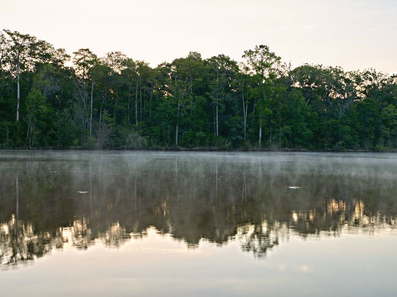 Morning Steam on the Altamaha River Kayaking Georgia Coast