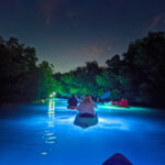 Nighttime Wildlife Safari with Night Kayak Key West Florida Keys 2020 5