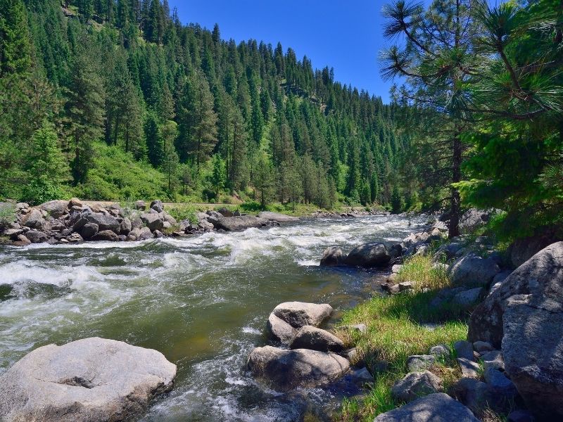 North Fork of Payette River Rafting in Idaho