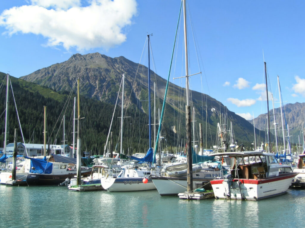 Seward Boat Harbor while kayaking