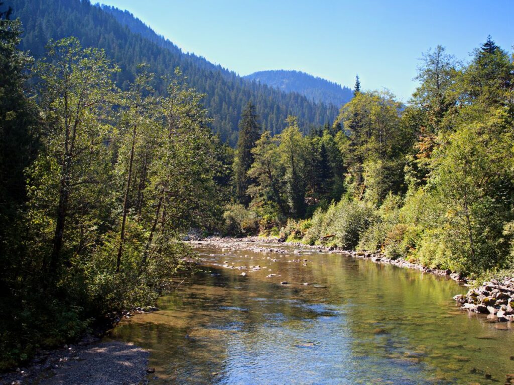 Stillaguamish River in Skagit County