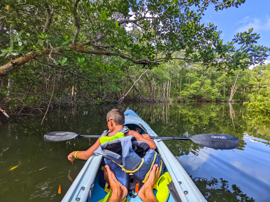 Taylor Family Kayaking Commodore Creek Kayak Trail Ding Darling Wildlife Refuge Sanibel Island Fort Myers Florida 2