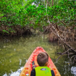 Taylor Family Kayaking in mangroves at Curry Hammock State Park Fat Duck Key Marathon Florida Keys 2020 5