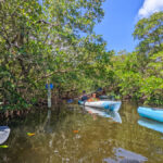 Taylor Family Kayaking with Tarpon Bay Explorers Ding Darling Wildlife Refuge Sanibel Island Fort Myers Florida 7