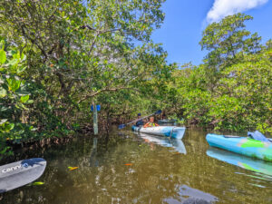 Taylor Family Kayaking with Tarpon Bay Explorers Ding Darling Wildlife Refuge Sanibel Island Fort Myers Florida 7