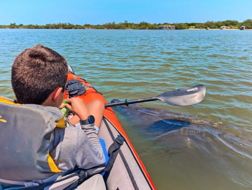 Taylor Family kayaking with manatees at Canaveral National Seashore Florida 1