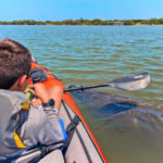 Taylor Family kayaking with manatees at Canaveral National Seashore Florida 1