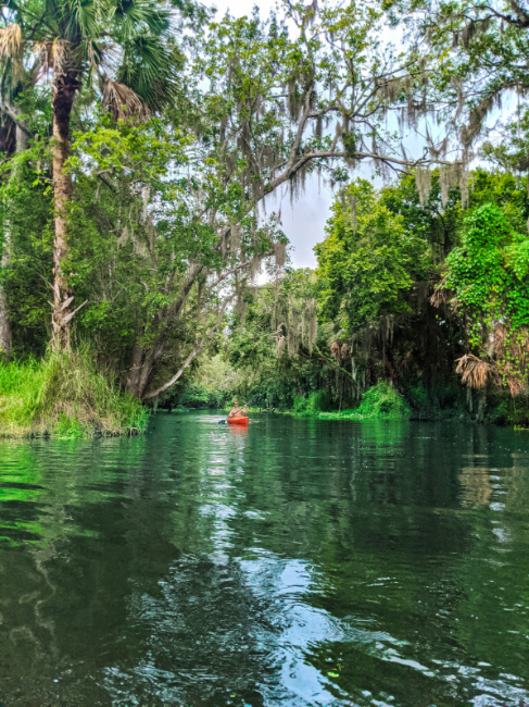 Taylor Family on Kayaking at Blue Spring State Park Orange City Florida 2020 4