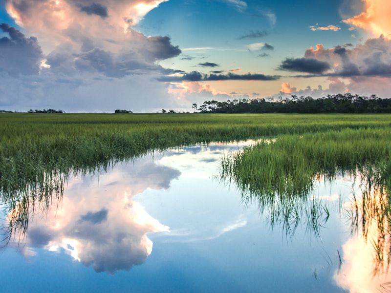 Tybee Marsh between Savannah and Tybee Island