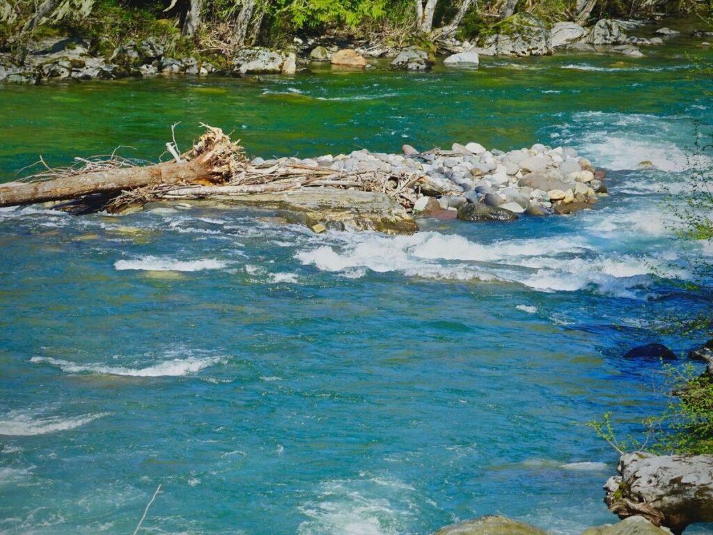 Upper Sauk River in North Cascades National Park Skagit and Whatcom Counties