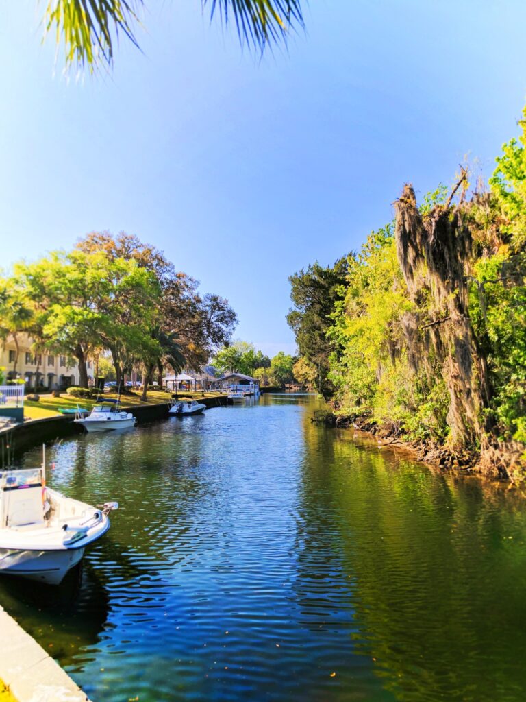 View of river from Plantation on Crystal River 2