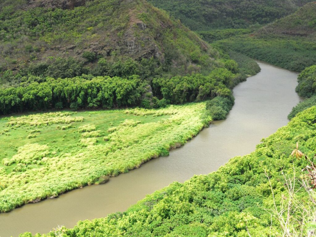 Wailua River from the Air Kauai