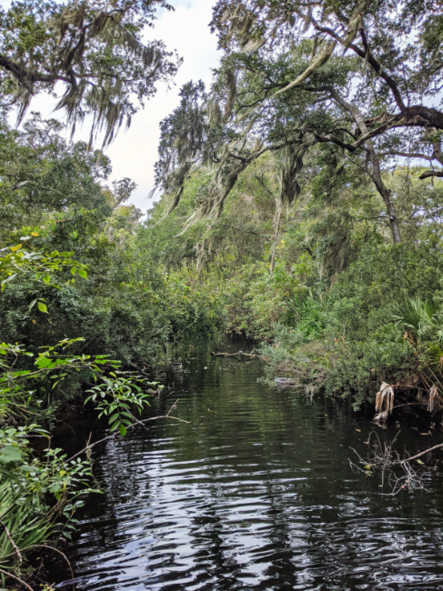 Waterway Kayaking at Amelia Island Florida 1