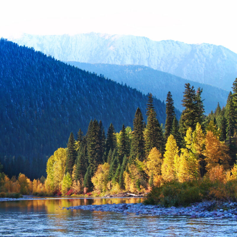 Fall colors and snow on Flathead River Flathead National Forest Montana 15
